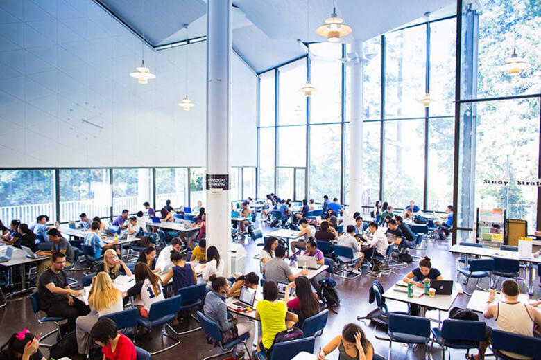 a bright room with floor to ceiling windows filled with students studying